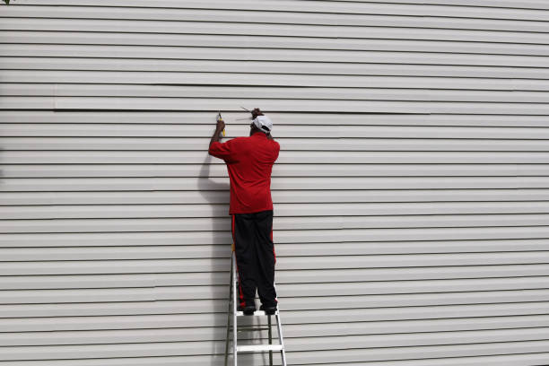 Best Vinyl Siding Installation  in Sutton Alpine, AK